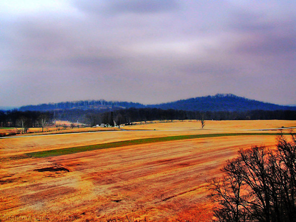 View of the wheatfield and the Round Tops